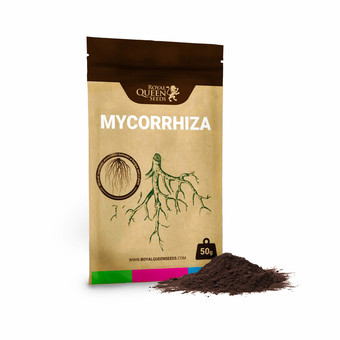 Easy Roots - Mykorritsa Mix