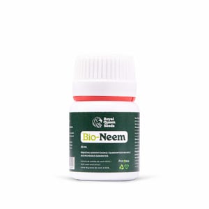 Neem-öljy