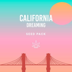 California Dreamin' -pakkaus