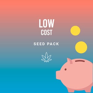 Low Cost -paketti