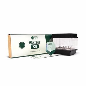 Starter Kit F1-hybridi