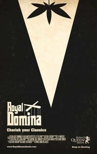 Royal Domina -juliste