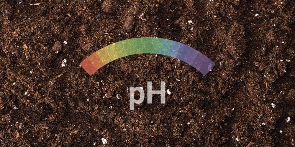 PH-ARVO PH-ARVO
