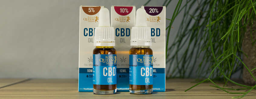 Royal Queen Seedsin CBD-öljy Royal Queen Seedsin CBD-öljy