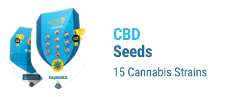 CBD-seeds