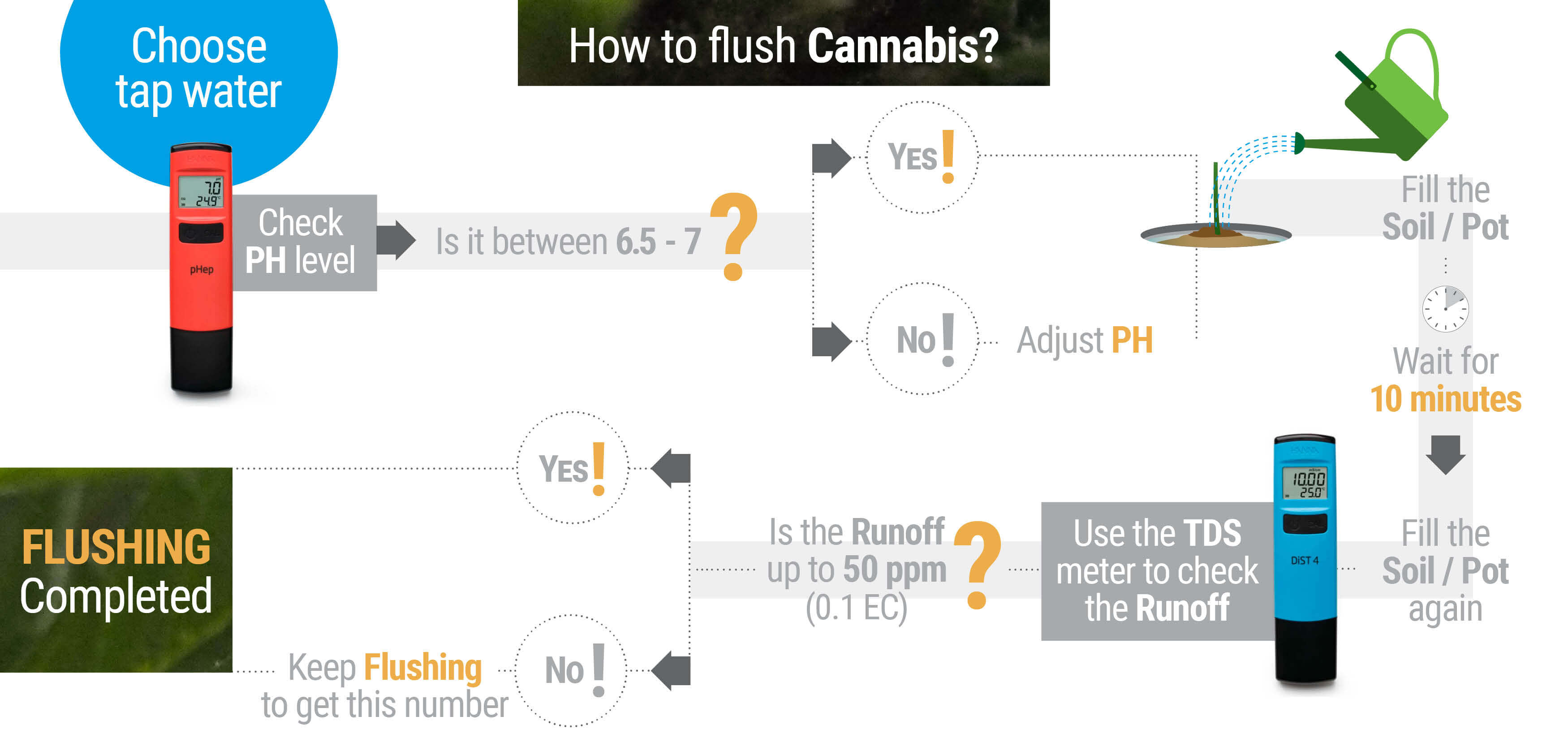 How and When to Flush Marijuana Plants