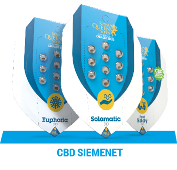 cbd-kannabiksen-siemenet
