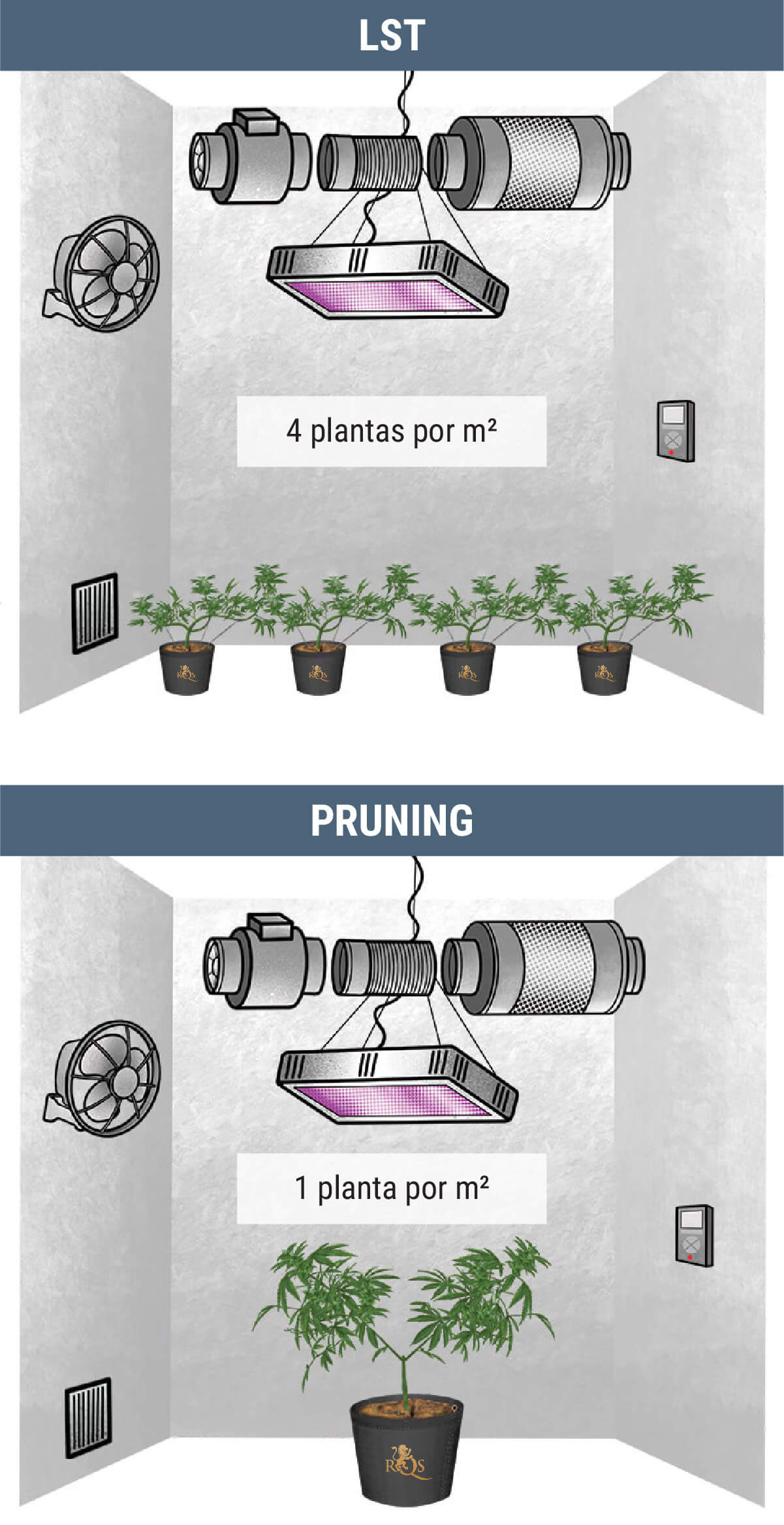 ¿Cuántas Plantas De Marihuana Puedes Cultivar Por Metro Cuadrado?