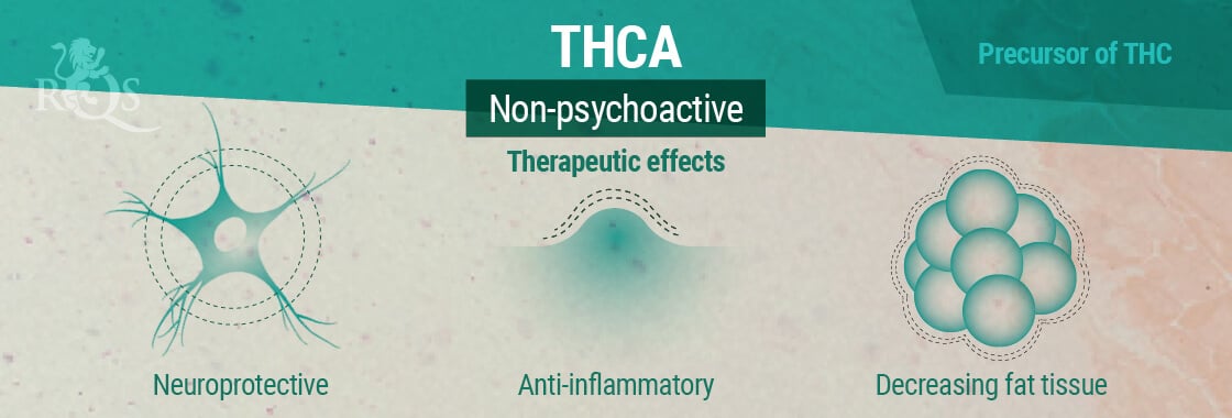 THCA Therapeutic Effects