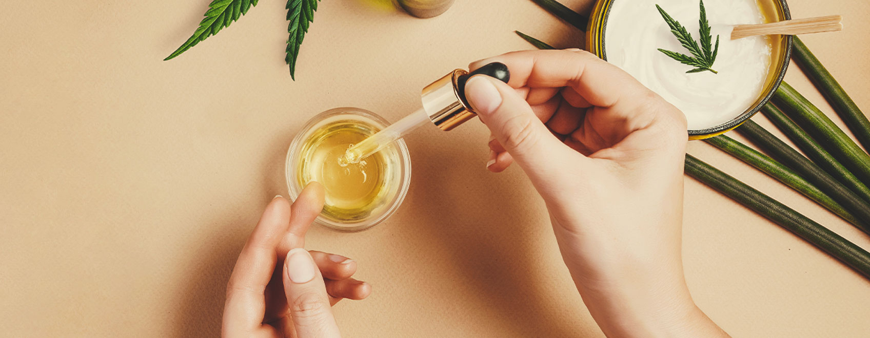Miten valmistaa CBD-öljyä lääkekannabiksesta Miten valmistaa CBD-öljyä lääkekannabiksesta