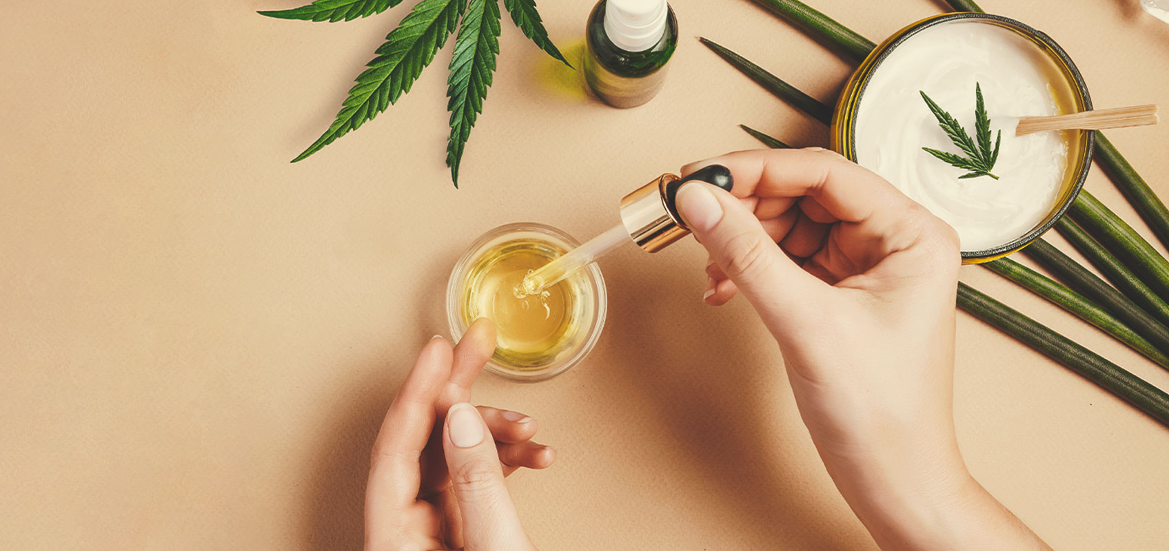 Miten valmistaa CBD-öljyä lääkekannabiksesta Miten valmistaa CBD-öljyä lääkekannabiksesta