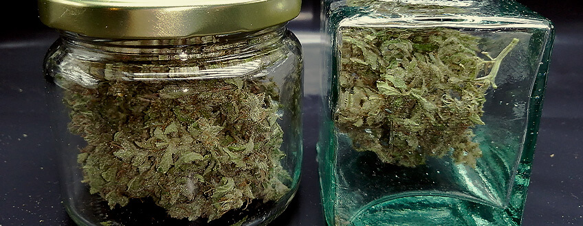 KYPSYTÄ KANNABIS PEHMEÄKSI POLTETTAVAKSI KYPSYTÄ KANNABIS PEHMEÄKSI POLTETTAVAKSI