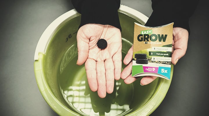 Easy Grow Kasvuboosteri