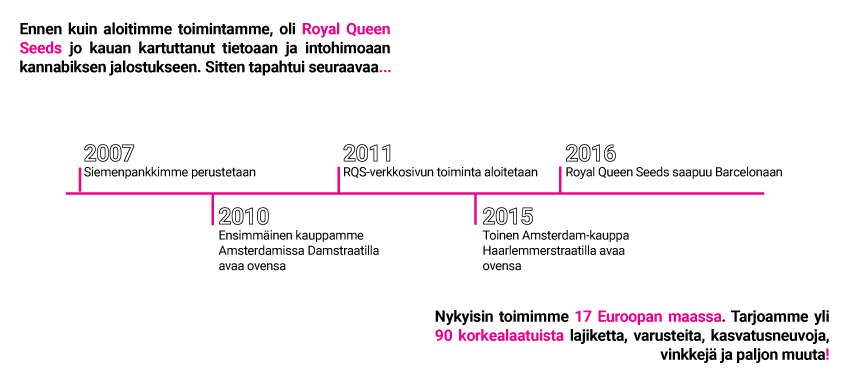 RQS Storyline RQS Storyline