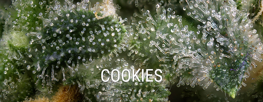 Cookies