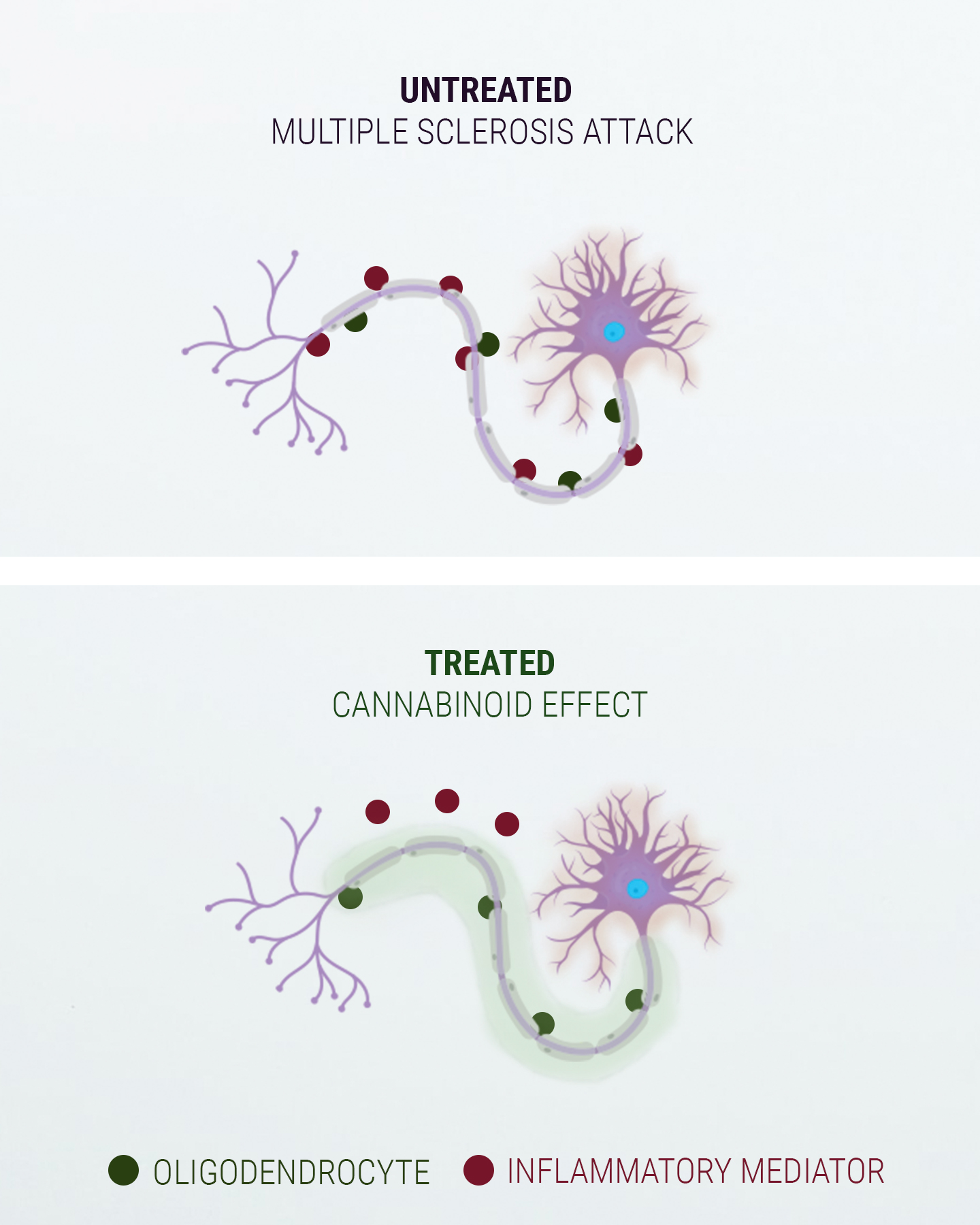 Sananen endokannabinoidijärjestelmästä Sananen endokannabinoidijärjestelmästä