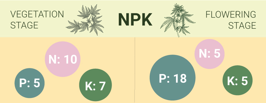How To Create Your Own Cannabis Super Soil Mix