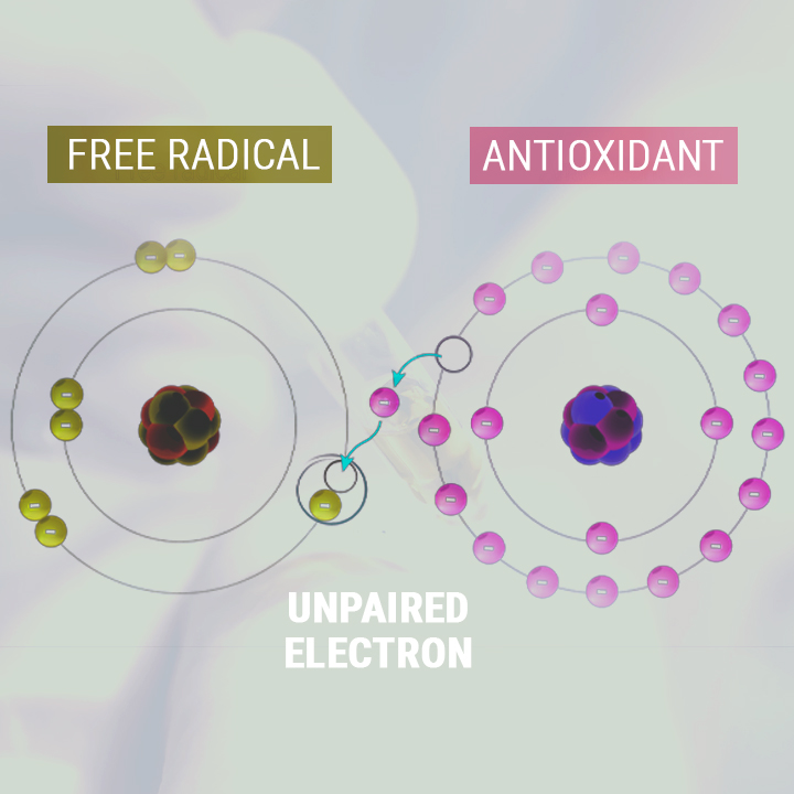 CBD-ÖLJY ANTIOKSIDANTTINA CBD-ÖLJY ANTIOKSIDANTTINA