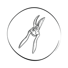 Pruning Scissors Pruning Scissors