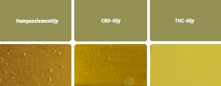 CBD-öljy vs. muun tyyppiset kannabispohjaiset öljyt