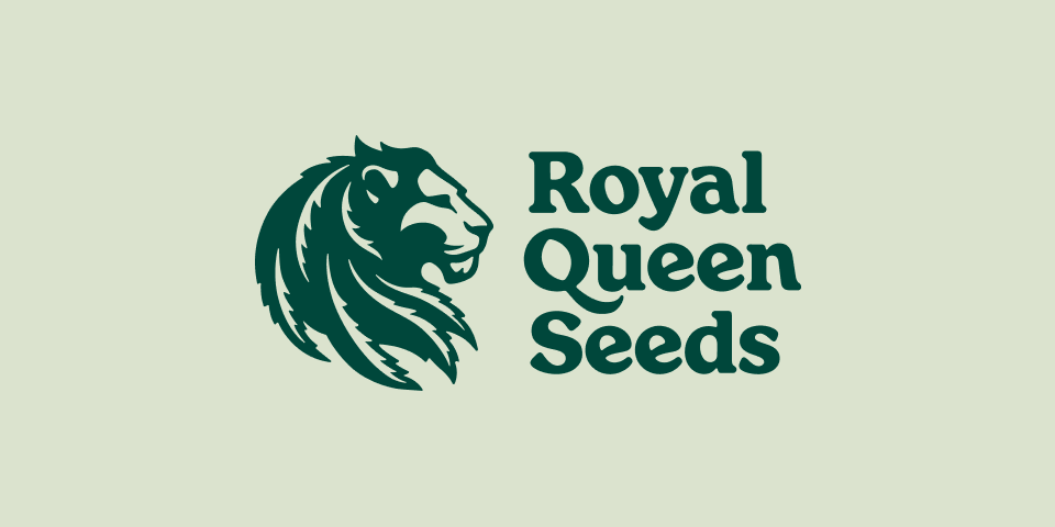 Osta laadukkaita kannabiksen siemeniä | Royal Queen Seeds