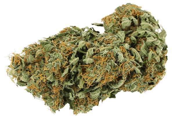 /img/splio-landing/Bud