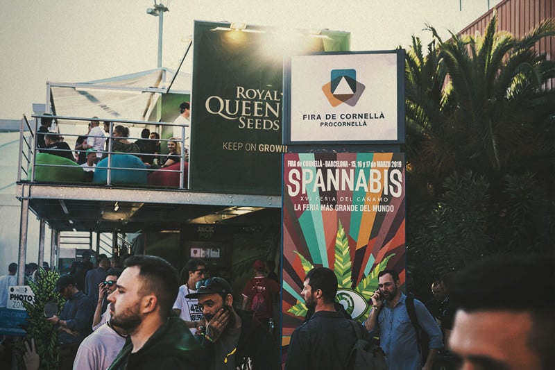 Spannabis 2019: Royal Queen Seeds valittiin parhaaksi siemenpankinksi!