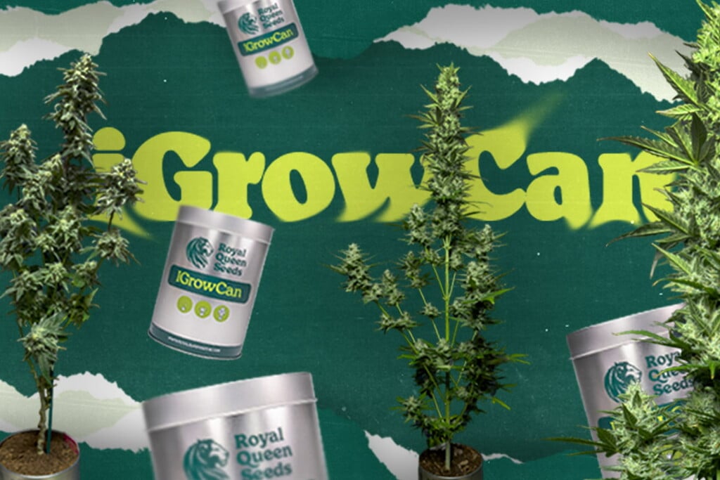 Esittelyssä iGrowCan: Helpoin tapa ensimmäisen kannabissatoon