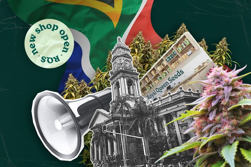 Royal Queen Seeds avaa ensimmäisen myymälänsä Durbanissa, tuoden ensiluokkaiset kannabissiemenet Etelä-Afrikkaan