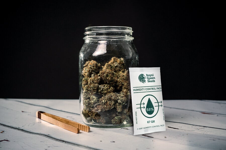 Miten välttää kannabiksen homehtuminen kuivauksen ja kypsytyksen aikana
