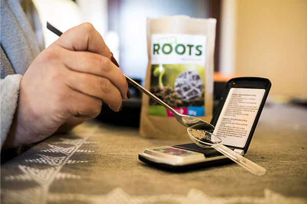 Easy Roots - Mykorritsa Mix Easy Roots - Mykorritsa Mix