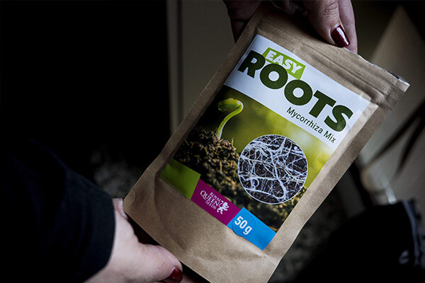 Easy Roots - Mykorritsa Mix Easy Roots - Mykorritsa Mix