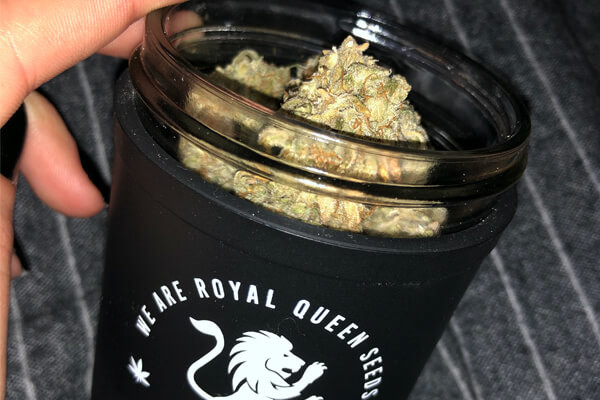 RQS Re:stash -Jemmapurkki