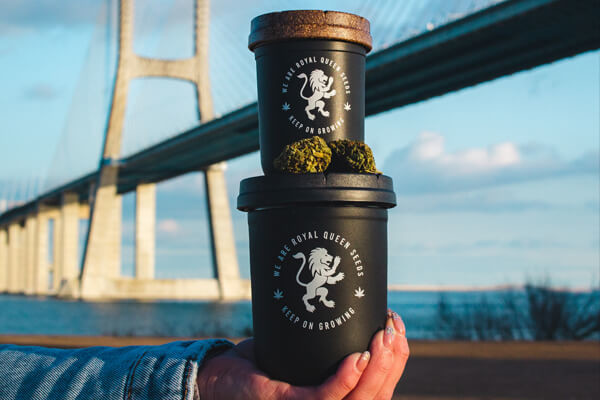 RQS Re:stash -Jemmapurkki