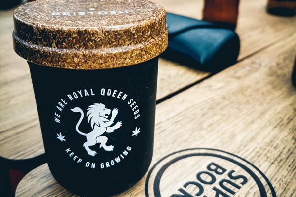 RQS Re:stash -Jemmapurkki