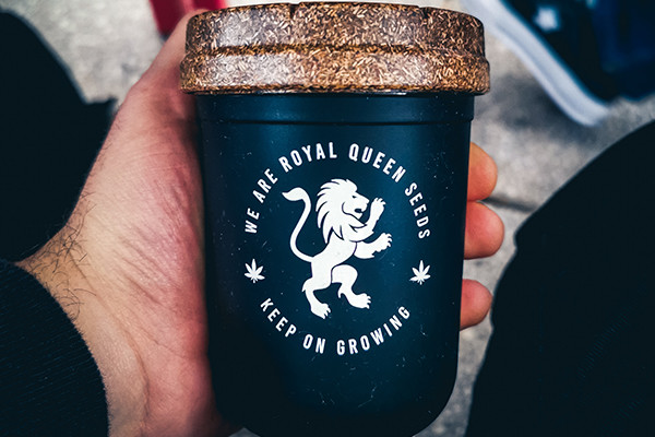 RQS Re:stash -Jemmapurkki