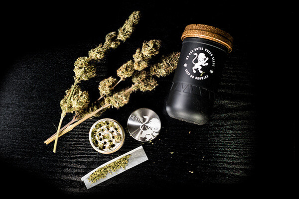 RQS Re:stash -Jemmapurkki