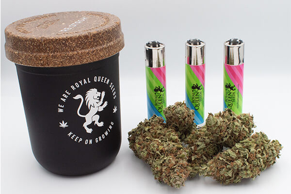 RQS Re:stash -Jemmapurkki